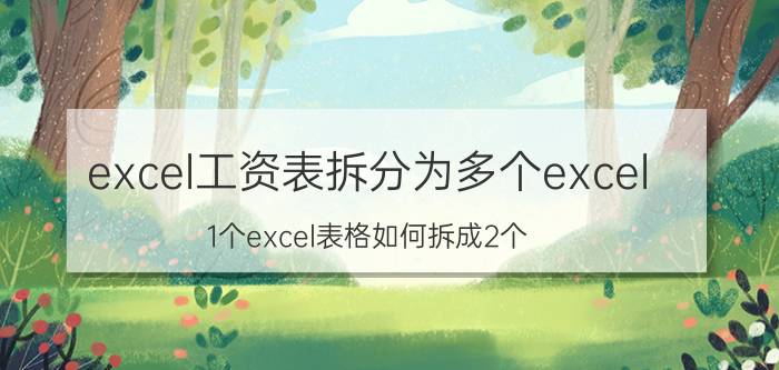 excel工资表拆分为多个excel 1个excel表格如何拆成2个？